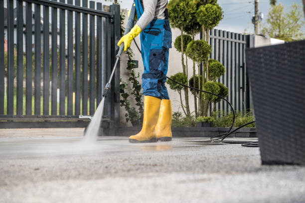 Animal Enclosure Cleaning in Gaffney, SC